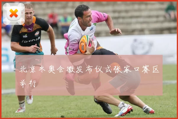 北京冬奥会徽发布仪式张家口赛区举行