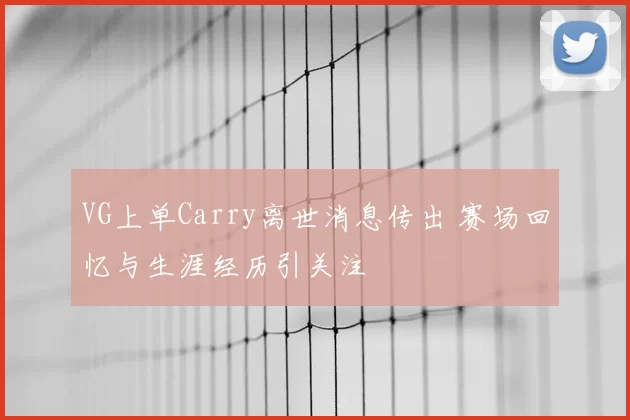 VG上单Carry离世消息传出 赛场回忆与生涯经历引关注